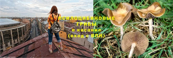 стаф Алексеевка
