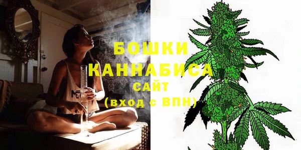 spice Мегион