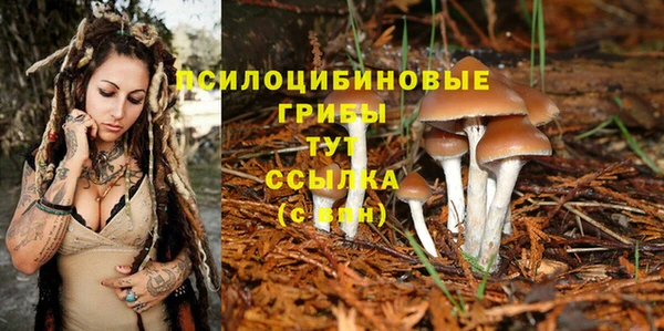 MESCALINE Алзамай