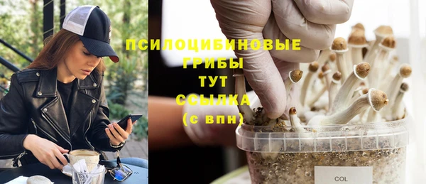 mix Алексин