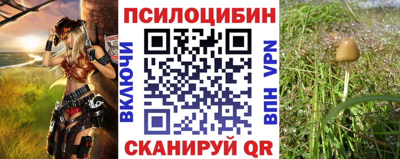 Псилоцибиновые грибы MAGIC MUSHROOMS  omg ONION  Чебоксары  наркотики 